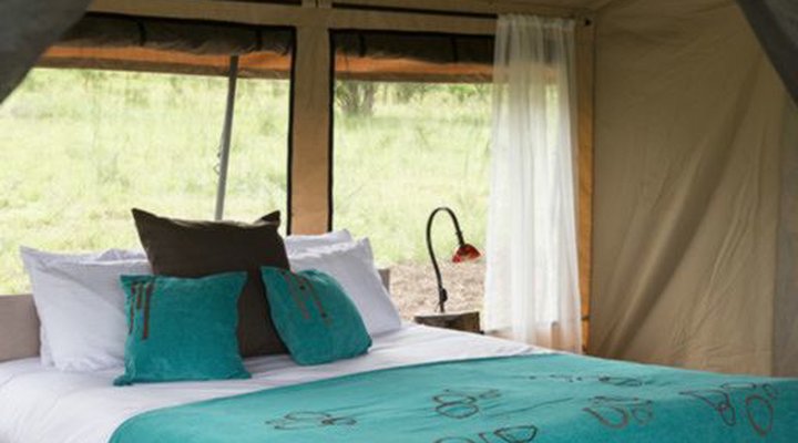Kiota Camp