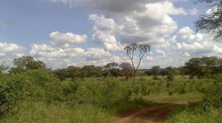 Rhino River Camp