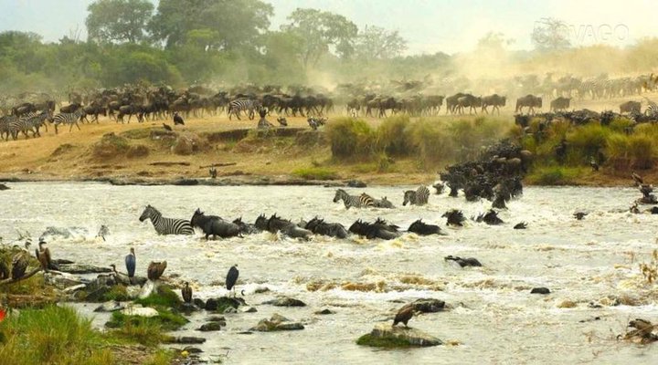 Spirit of the Masai Mara