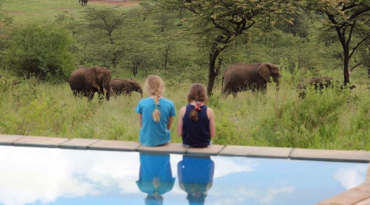 Spirit of the Masai Mara