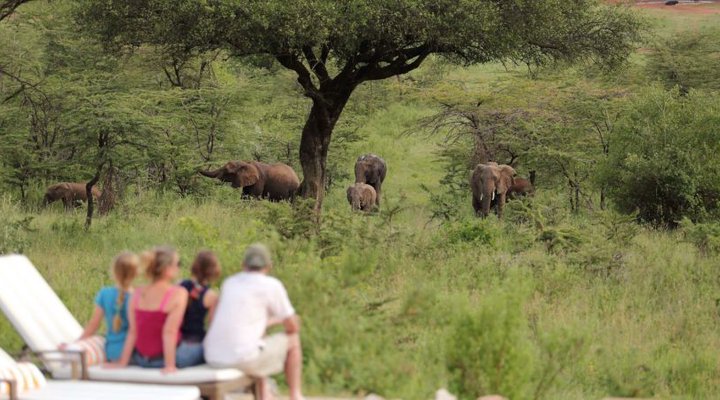 Spirit of the Masai Mara