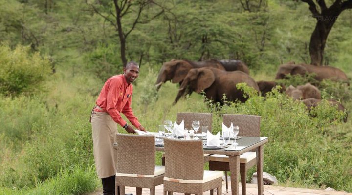 Spirit of the Masai Mara