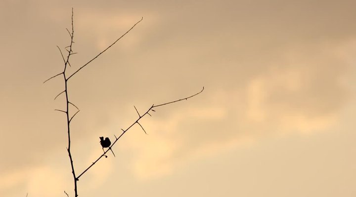 Loerie Inn Guesthouse