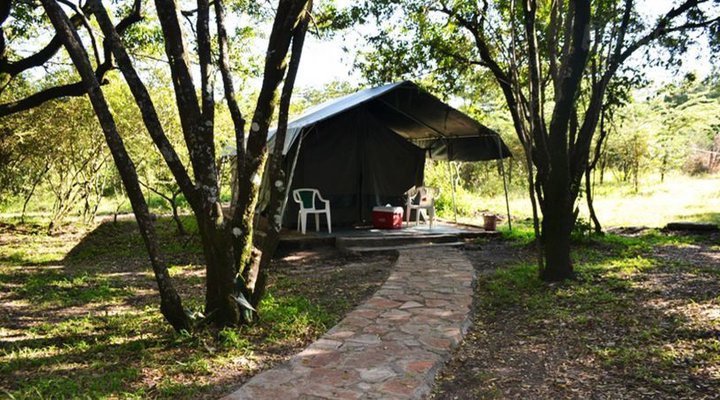Wajee Mara Camp