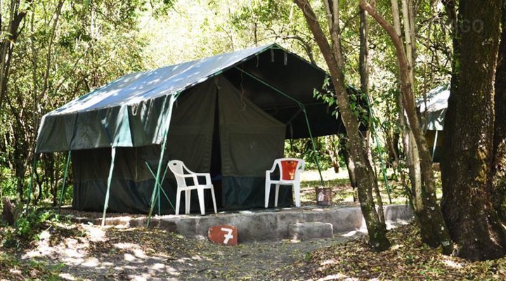 Wajee Mara Camp