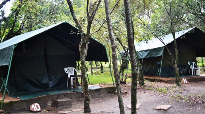 Wajee Mara Camp