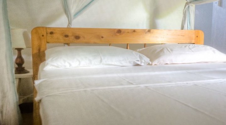 Triniti Guest House