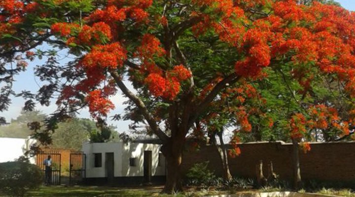 Sheila's Lodge