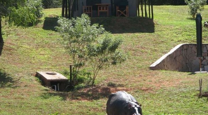 Chura Bush Camp