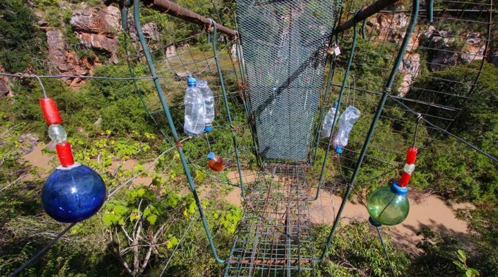 Lengai's Basement Flat