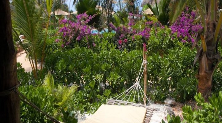 Green and Blue Ocean Lodge