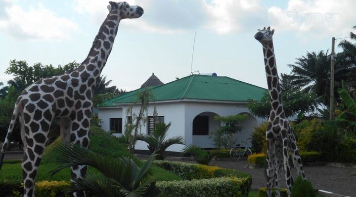 Itunge Lodge & Campsite