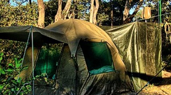 Letsatsi Safaris & Lodge