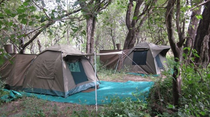 Letsatsi Safaris & Lodge