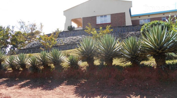 Thoza Garden Lodge