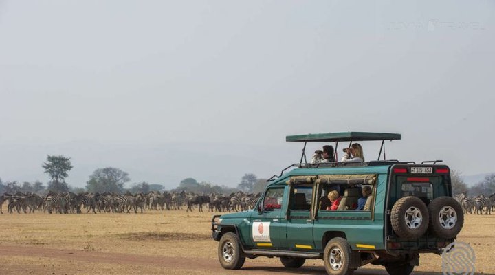 Kirawira Serena Camp
