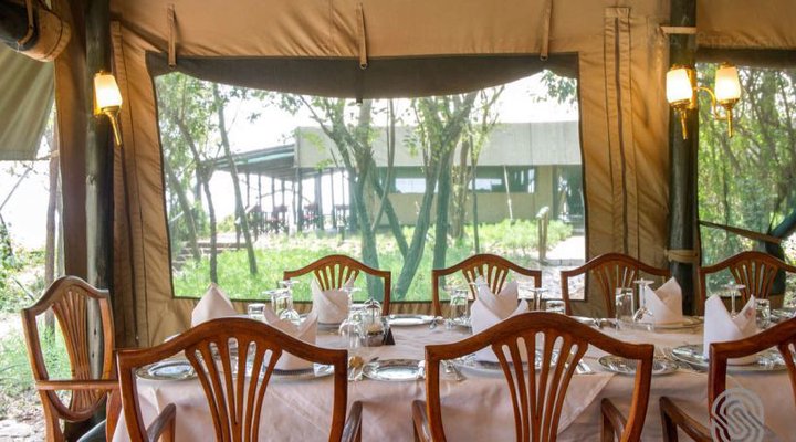 Kirawira Serena Camp