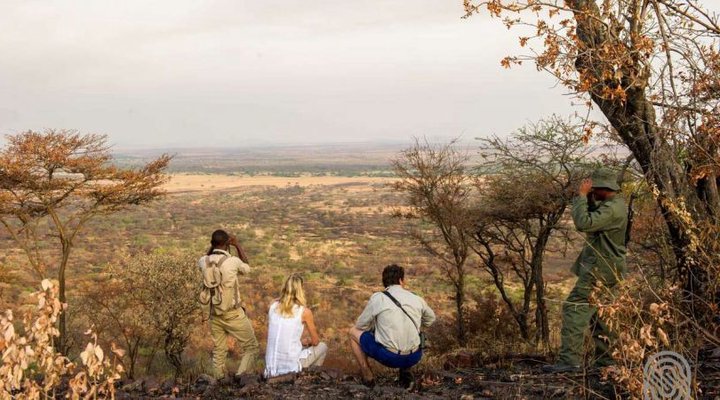 Kirawira Serena Camp
