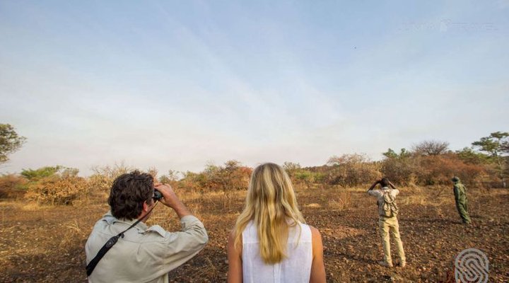 Kirawira Serena Camp