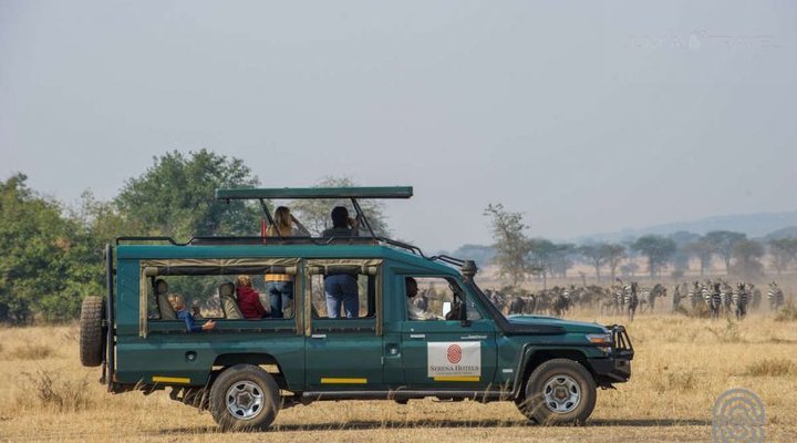 Kirawira Serena Camp