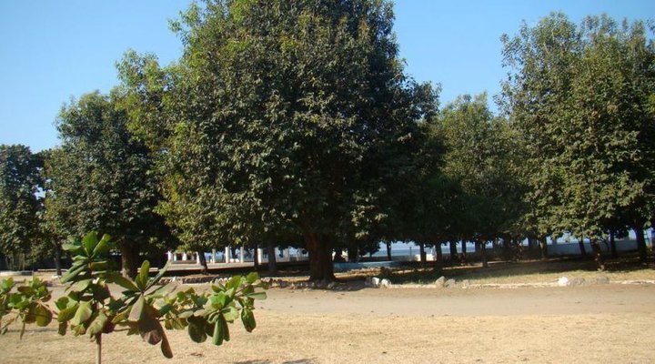 Mufwa Lakeshore Lodge