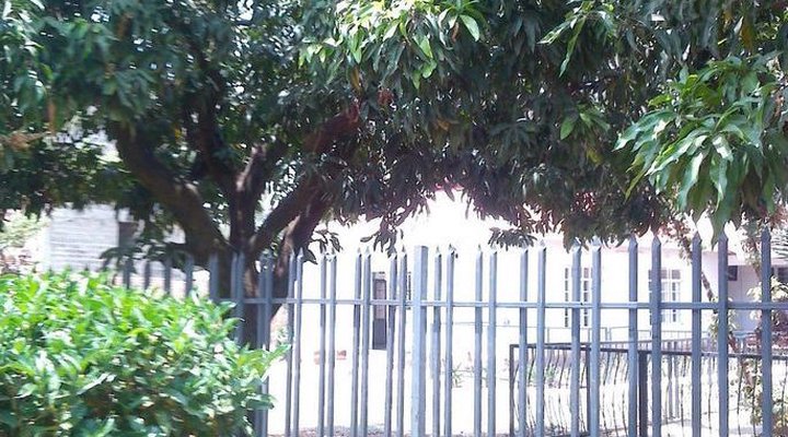 Canon Jacob Ombara Guest House