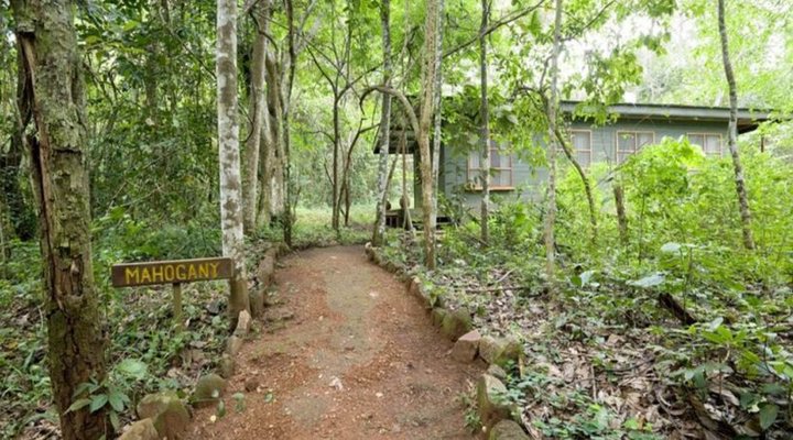 Budongo Eco Lodge