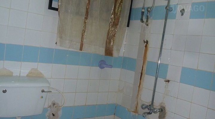 Cool Ocean Executive Suite