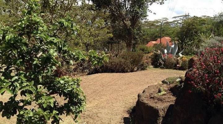 Kinja Flamingo Cottages