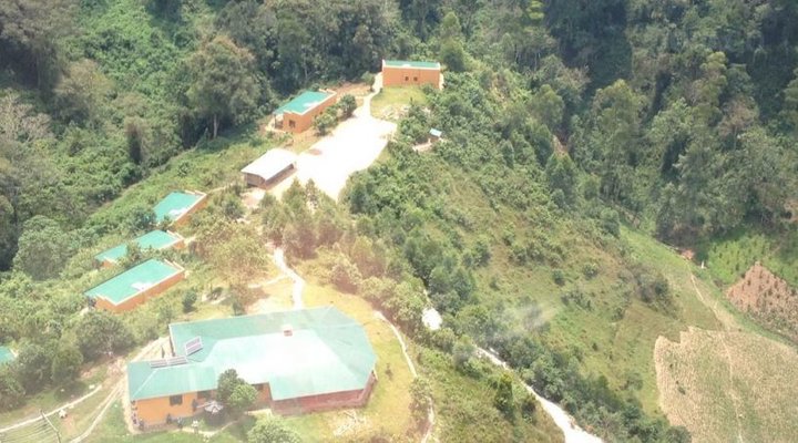 Gorilla Valley Lodge