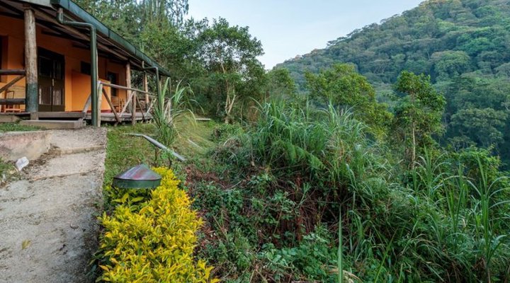 Gorilla Valley Lodge