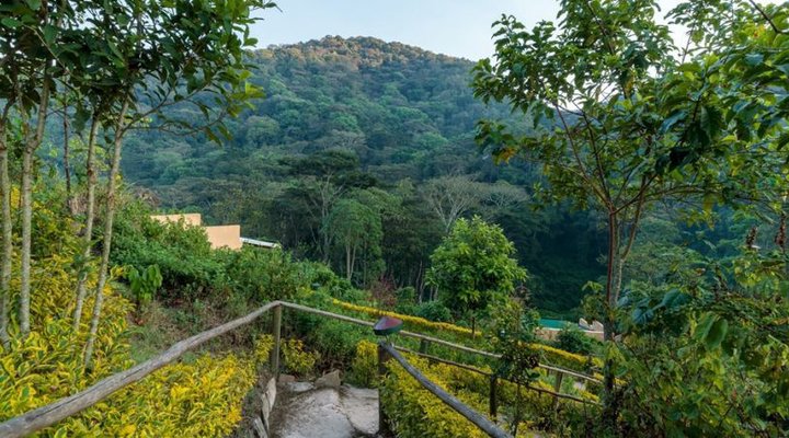 Gorilla Valley Lodge