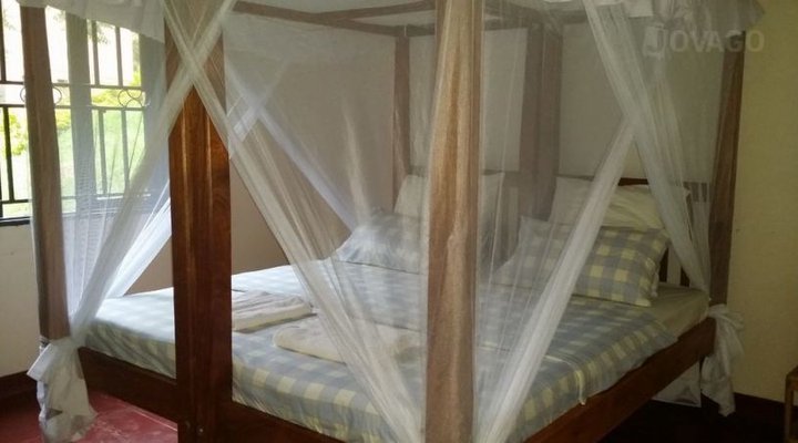 Gorilla Valley Lodge