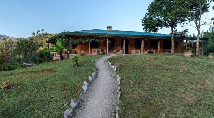 Gorilla Valley Lodge