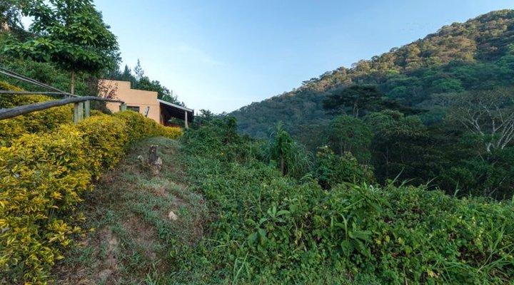 Gorilla Valley Lodge