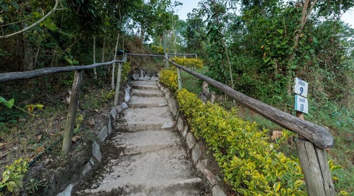 Gorilla Valley Lodge