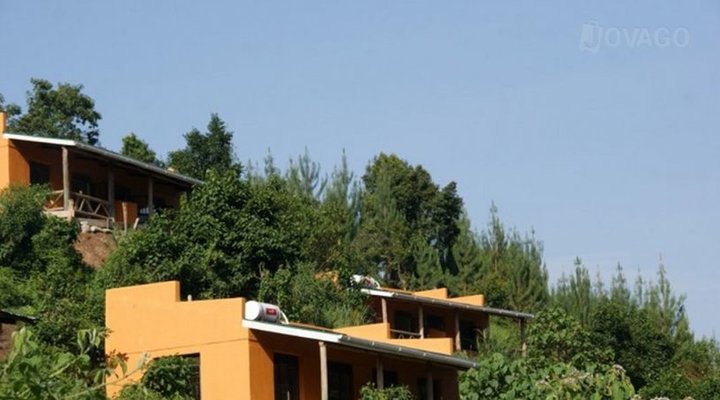 Gorilla Valley Lodge