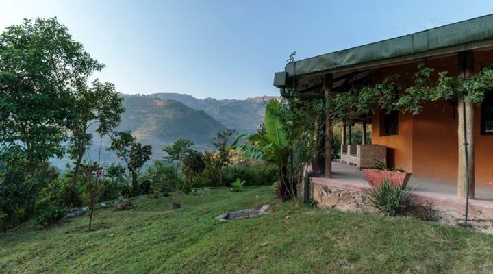 Gorilla Valley Lodge