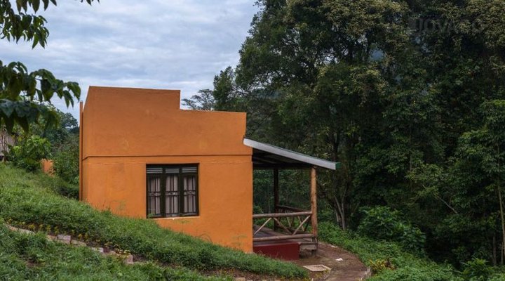 Gorilla Valley Lodge