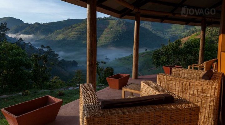 Gorilla Valley Lodge