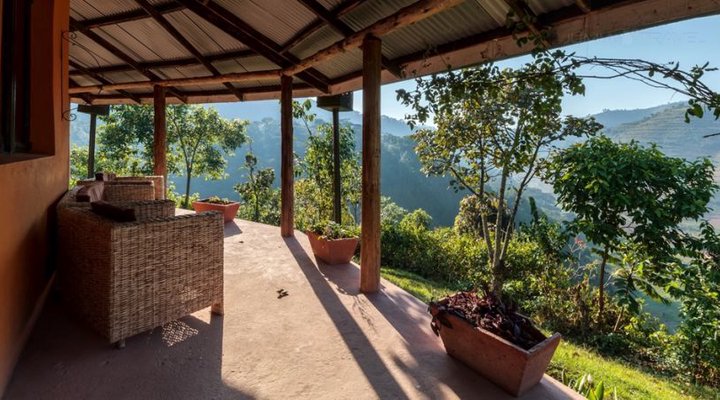 Gorilla Valley Lodge