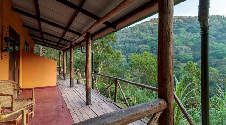 Gorilla Valley Lodge