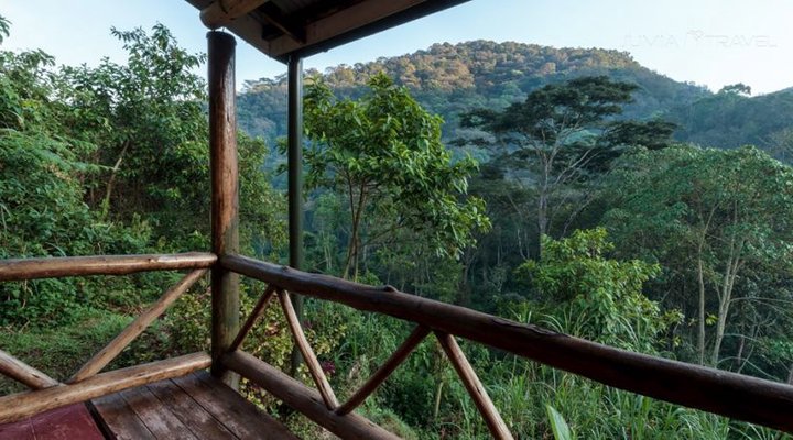 Gorilla Valley Lodge