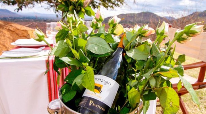 Zomeni Lion Hill Camp