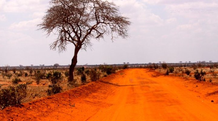 Zomeni Lion Hill Camp