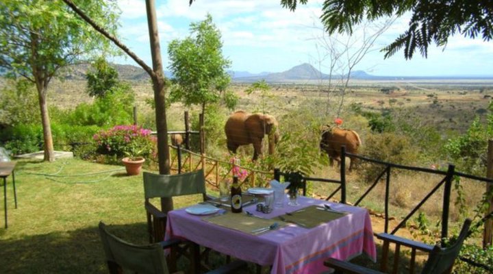 Zomeni Lion Hill Camp