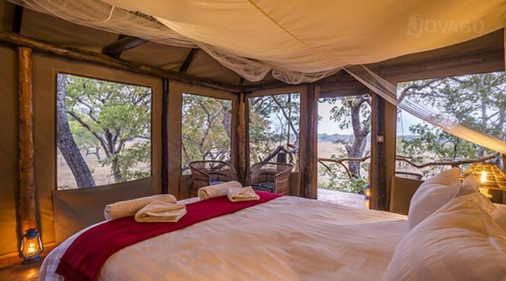 Fig Tree Bush Camp
