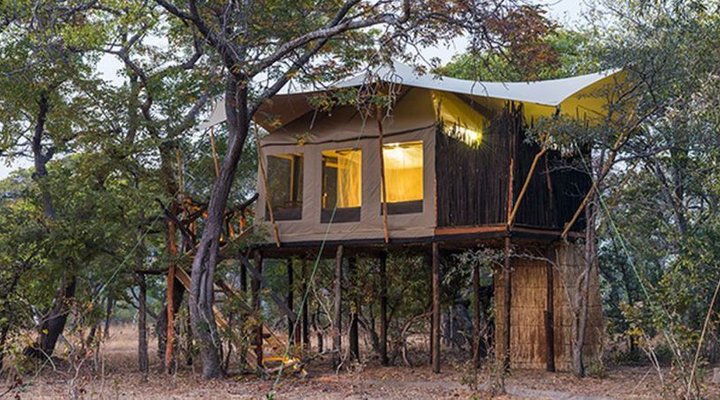 Fig Tree Bush Camp