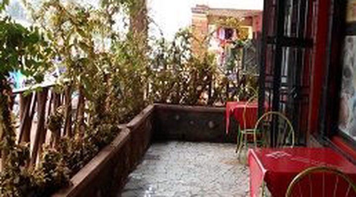 Real Life Guest House