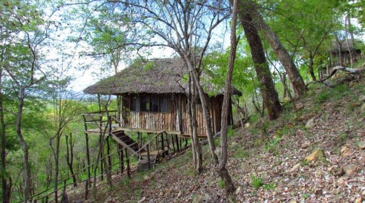 Ndovu Lodges And Camps